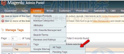Magento商店添加产品标签的方法步骤