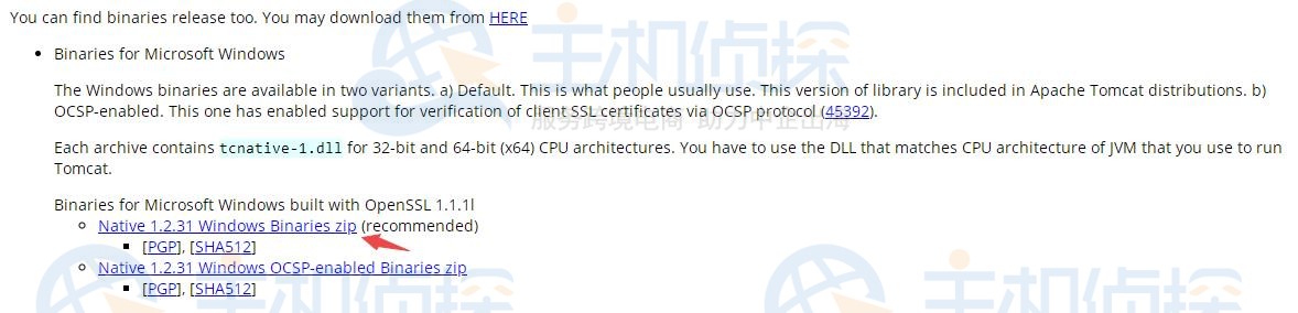 Tomcat服务器如何升级OpenSSL版本