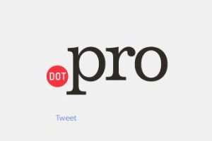 pro域名的中文含义是什么