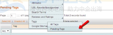 Magento商店添加产品标签的方法步骤