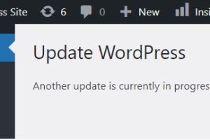 WordPress升级错误
