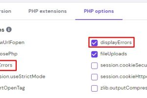 Hostinger主机教程：如何禁用PHP错误消息