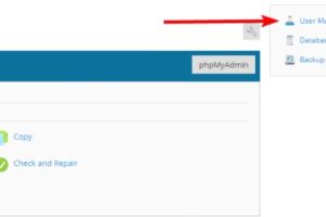 Plesk控制面板如何管理数据库用户