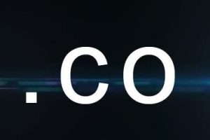 co域名续费价格一般多少