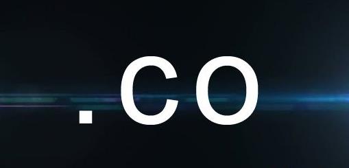 co域名续费价格一般多少