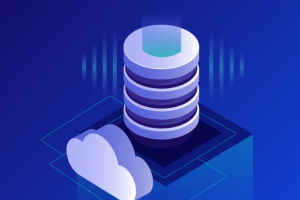 HostKvm香港高防VPS