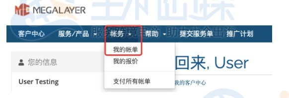 Megalayer海外服务器账单查询及续费教程