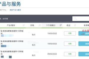 Megalayer海外服务器账单查询及续费教程