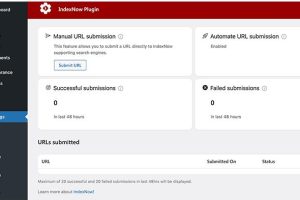 IndexNow插件功能