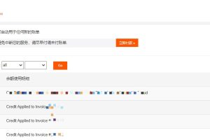 RAKsmart账户余额使用明细