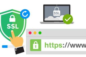 Globalsign数字证书一年多少钱