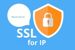 没有域名只有IP地址可以申请SSL证书