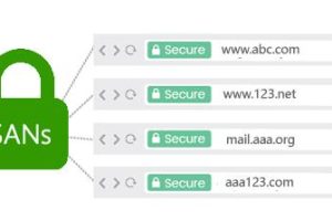 多域名SSL证书绑定的域名怎么填写