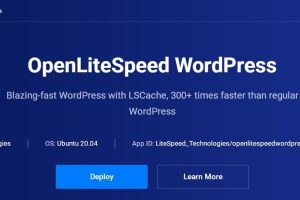 OpenLiteSpeed WordPress一键安装教程