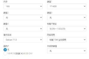 Megalayer香港多IP站群服务器