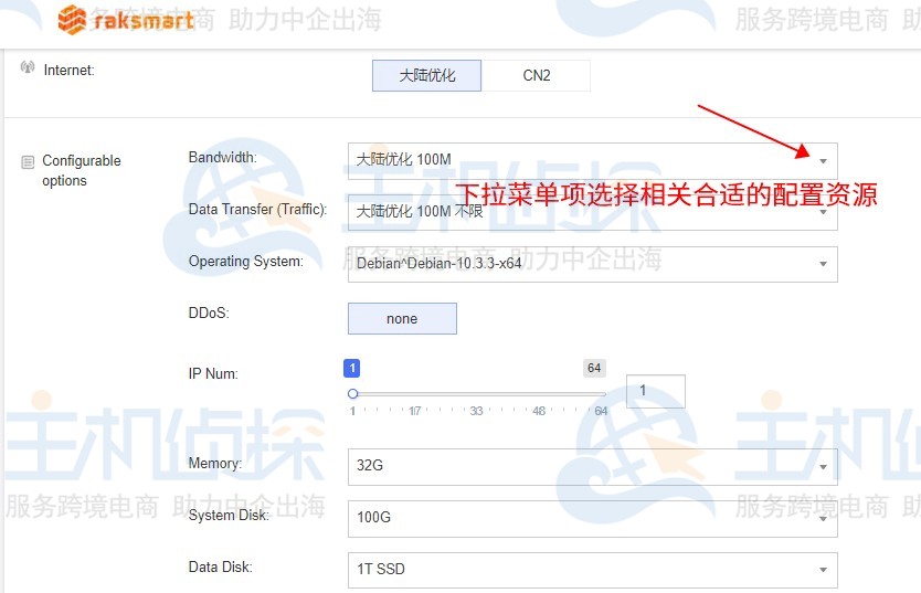 RAKsmart裸金属服务器