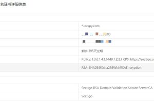 SSL证书在线检测工具
