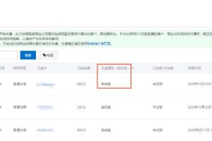 使用快照创建自定义镜像