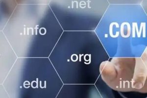 网站后缀net和com有什么区别