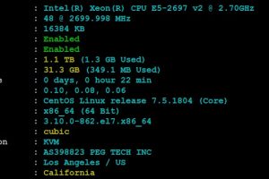 RAKsmart洛杉矶机房裸机云服务器基本性能评测