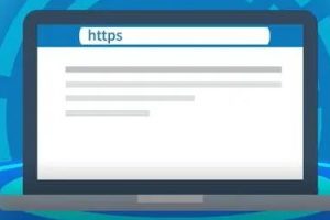 DigiCert SSL证书支持什么类型的加密算法