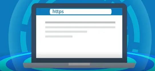 DigiCert SSL证书支持什么类型的加密算法