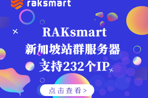 RAKsmart新加坡站群服务器租用方案