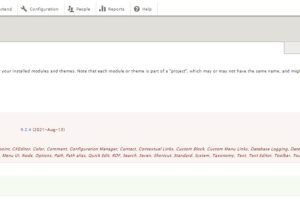 Drupal网站开启维护模式