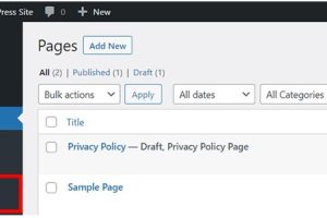 WordPress页面添加新分类和标签的方法