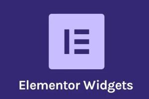 WordPress插件Elementor出现安全漏洞