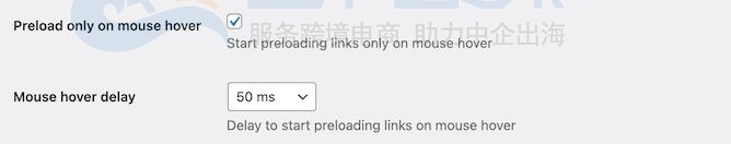 WordPress网站设置预加载链接