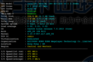 Megalayer香港服务器E3-1230方案评测