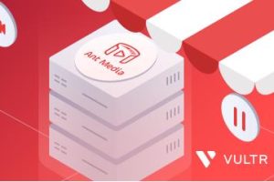 Ant Media Server