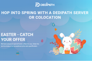DediPath美国服务器春季活动