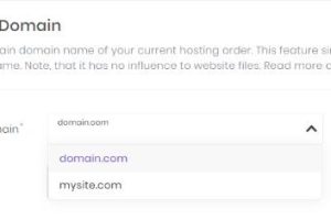 更改Hostinger主机托管账户主域名