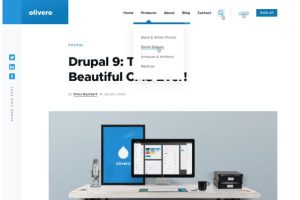 Drupal 10