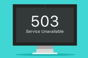503错误