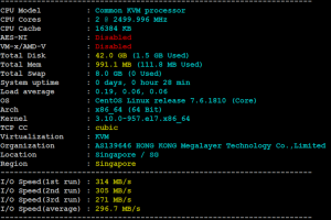 Megalayer新加坡原生IP VPS评测