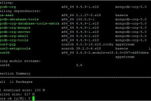 安装MongoDB数据库