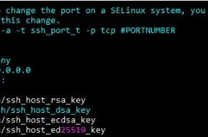 Debian服务器修改默认远程端口教程