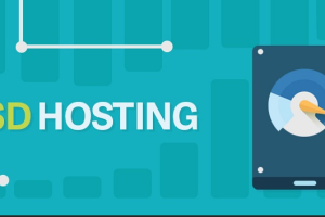 BlueHost主机全新升级SSD存储