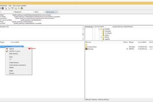 使用FTP手动安装Astra主题