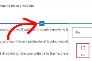 WordPress文件下载链接