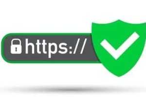 GeoTrust企业级SSL证书支持的加密算法有哪些