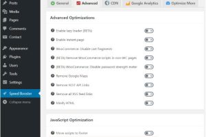 使用WordPress插件延迟JavaScript文件解析