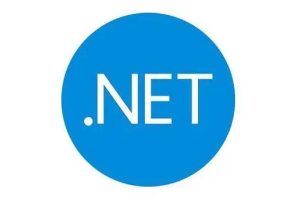 net域名有价值吗