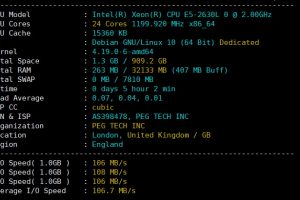 RAKsmart香港服务器评测