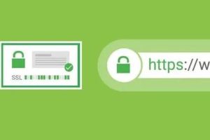 外贸网站建设使用什么类型的SSL证书比较好