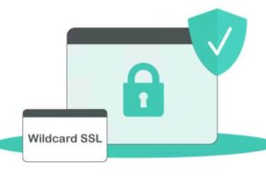 Geotrust通配符证书