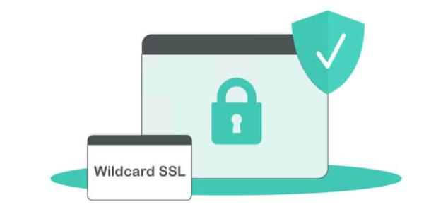 Geotrust通配符证书